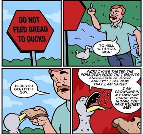 Do not feed bread to ducks Memes - Imgflip