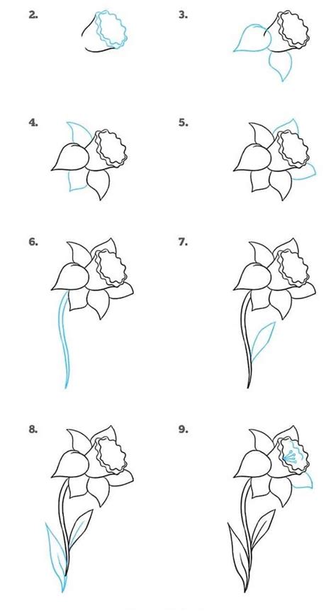 How To Draw A Daffodil Step By Step at Drawing Tutorials