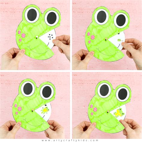 Life Cycle of a Frog Spinner - Arty Crafty Kids