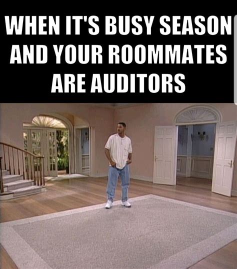 Accounting memes - living with auditors | Accounting humor, Funny friday memes, Humor