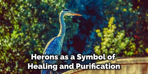 Heron Spiritual Meaning, Symbolism, and Totem Explained (2022)