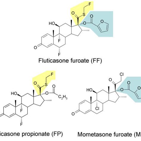 Comparison of concentrations of fluticasone furoate (FF), fluticasone ...