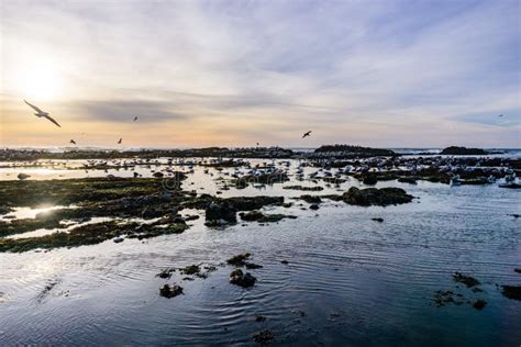 Sunset at the Fitzgerald Marine Reserve Tidepools, Moss Beach ...