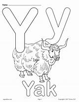 Letter Y Alphabet Coloring Pages  3 Printable Versions sketch template