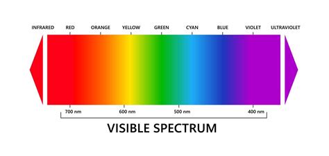 Visible light spectrum, infared and ultraviolet. Electromagnetic ...