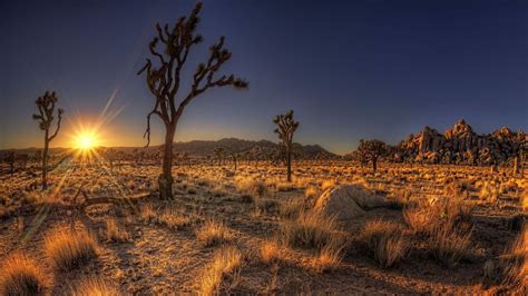 Sonoran Desert Wallpapers - Top Free Sonoran Desert Backgrounds - WallpaperAccess