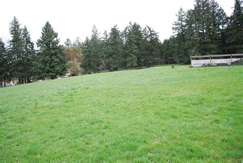 Sexton Mountain neighbors convince Beaverton and THPRD to leave park intact - oregonlive.com