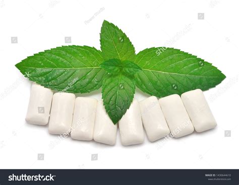 Chewing Gum Fresh Mint Leaves Isolated Stock Photo 1430644610 ...