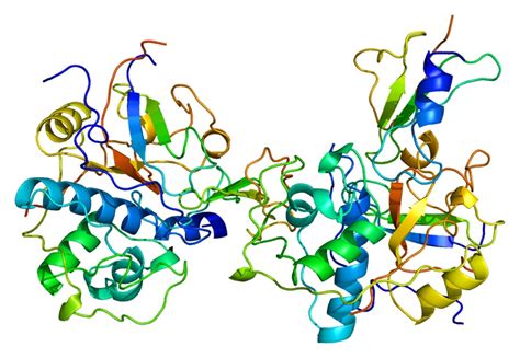 Recombinant Human CD74 CD74-2229H - Creative BioMart