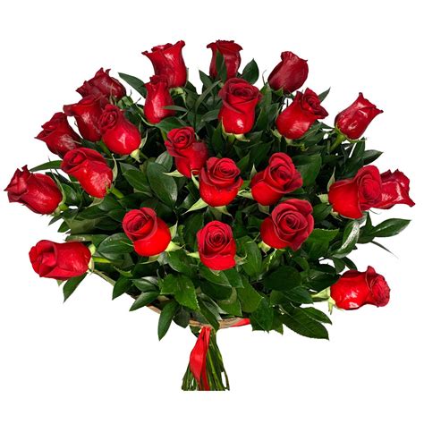 Ramo 24 Rosas Rojas Freedom - Floristería Online