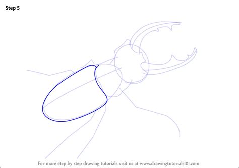 Learn How to Draw a Stag Beetle (Beetles) Step by Step : Drawing Tutorials