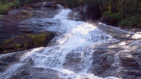 Kodagu Waterfalls: ಈ ವೇಳೆಯಲ್ಲಿ ಕರ್ನಾಟಕದ ಕಾಶ್ಮೀರದಲ್ಲಿ ಹೆಜ್ಜೆಹೆಜ್ಜೆಗೂ ಜಲಪಾತಗಳು ಸೃಷ್ಟಿ, ತಲುಪುವ ...