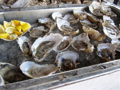 Shucked Oysters - Food Republic