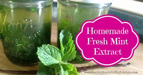 Homemade Mint Extract - Health Starts in the Kitchen