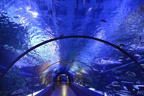 Antalya - Aquarium (4) | Antalya | Pictures | Turkey in Global-Geography