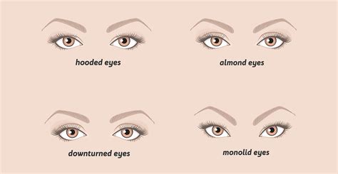 Types Of Makeup For Diffe Eye Shapes - Infoupdate.org