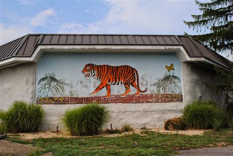 The Carpetbagger: Mammoth Cave Wildlife Museum