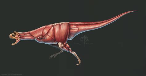 ArtStation - Carnotaurus Sastrei Muscle Study