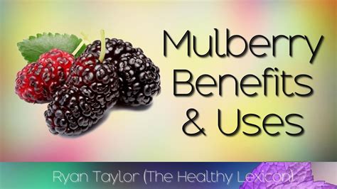 Mulberries: Benefits & Uses - YouTube