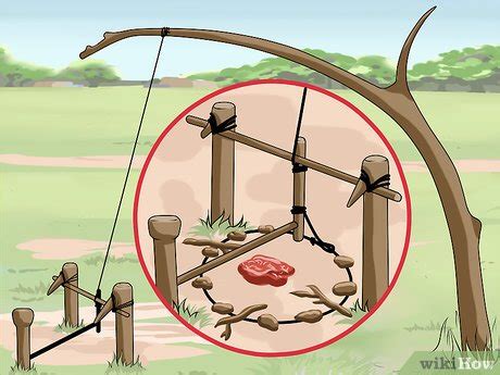 How to Make a Snare Trap: A DIY Guide for Beginners