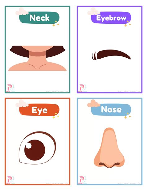 Body Parts Flashcards Printable Free in 2024 | Printable flash cards ...