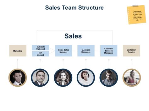 Sales Team Structure Template