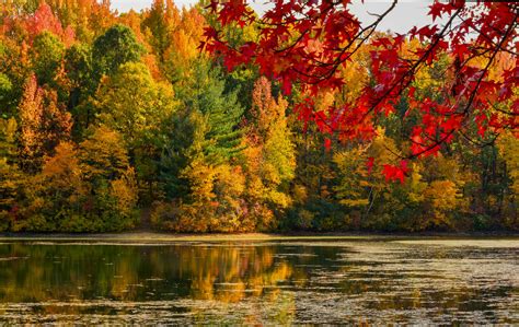 Here's How To Find The Most Vibrant Fall Foliage In Ohio | iHeart