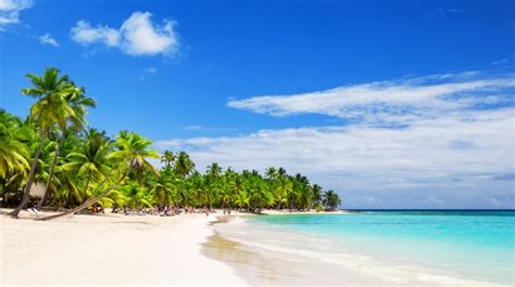 5 Costa Rica's Caribbean Coast: Best Places to Visit | Bookmundi (2022)