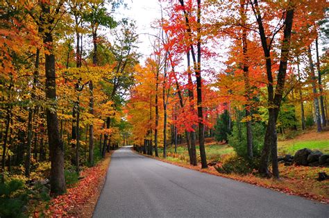 Fall Foliage | Kimberly Vardeman | Flickr