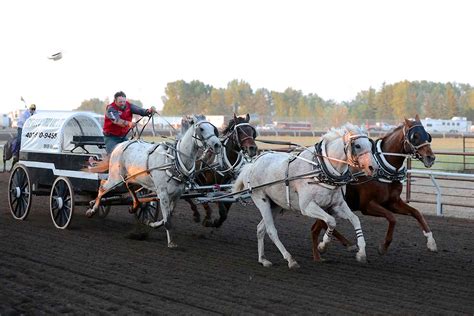 WPCA Chuckwagon Races – MH Stampede & Exhibition