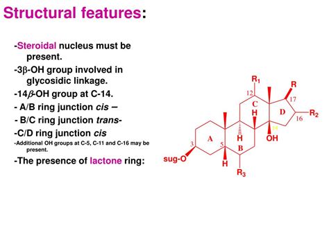 PPT - The Cardiac Glycosides Cardio-active Glycosides PowerPoint Presentation - ID:1739465