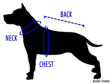 Softshell Dog Coat - Size Guide - DOUBLE TROUBLE