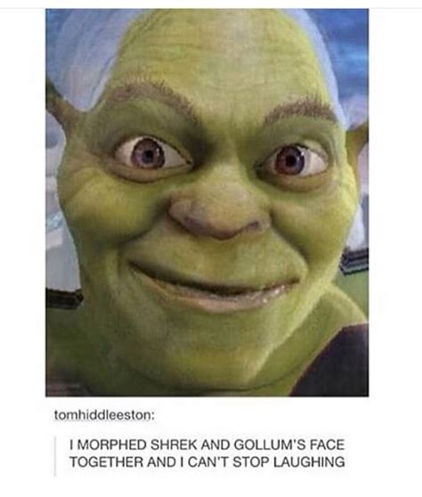 Best thing I've seen today! | Shrek, Shrek memes, Really funny pictures