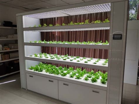 Indoor hydroponic farm Almirah – L – Hydroponics Systems for Home, School, Office & Restaurants ...