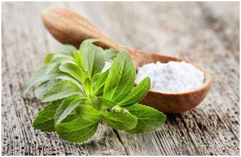 Side Effects of Stevia Consumption - A ”Natural" Sweetener - Insight state