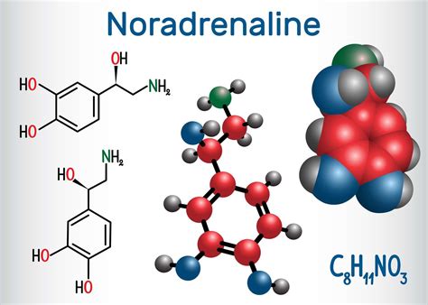 Définition | Noradrénaline - Norépinéphrine