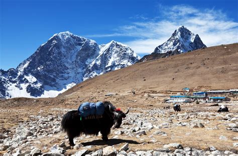 Responsible Tourism in the Himalayas - eDreams Travel Blog