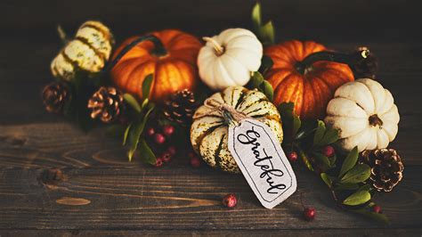 45 Thanksgiving weekend subject lines worth falling for | VR Blog