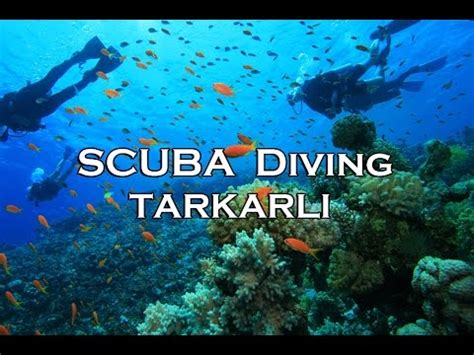 Tarkarli Scuba Diving, Malvan | DestiMap | Destinations On Map