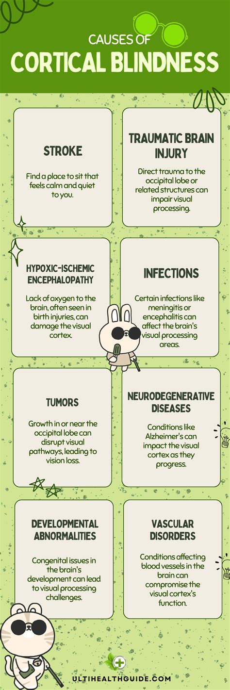 Empower Yourself With The Truth About Cortical Blindness - Ulti Health Guide