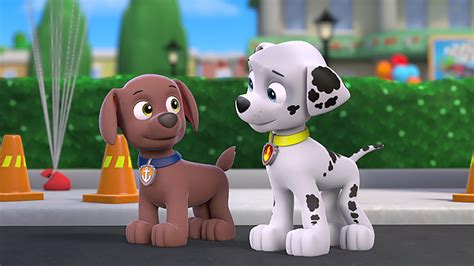 Watch PAW Patrol Season 1 Episode 25: Pups Great Race - Full show on Paramount Plus