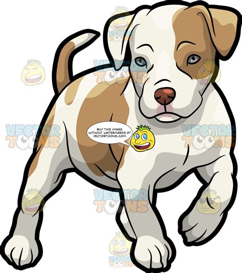 Pitbull Puppy Drawing | Free download on ClipArtMag