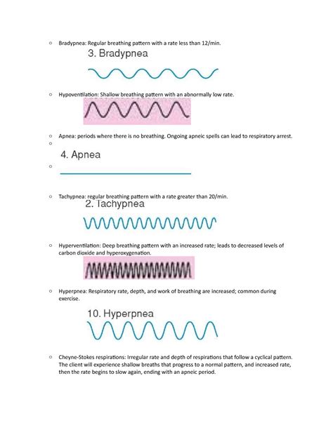 Vitals and Breathing Patterns - o Bradypnea: Regular breathing pattern with a rate less than 12 ...