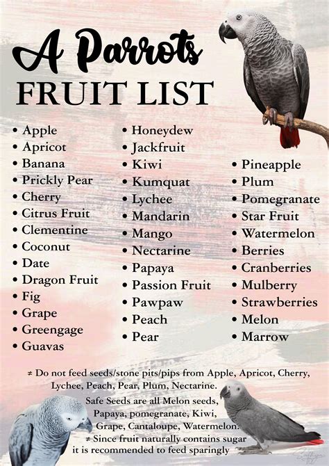 Fruit list for Parrots | African grey parrot toys, Parrot pet, African grey parrot