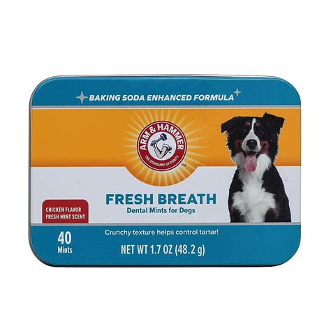 10 Best Dog Breath Mints