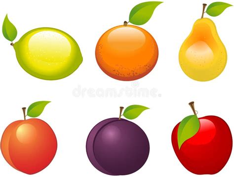 Fruits stock vector. Illustration of apricot, apple, artworks - 44204628