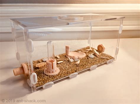 ANT SHACK - Formicarium and Ant Farm Kit Shop | Large Ant Outworld Kit "Nature"