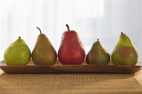 Varieties of Pears From Anjou to Williams