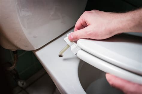 How to Replace a Toilet Seat (Easy Steps) | ToiletBloom