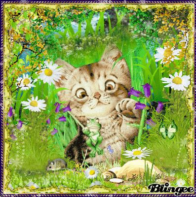 Funny Spring Cat ;) Picture #137521322 | Blingee.com